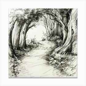 Path Through The Woods 1 Canvas Print