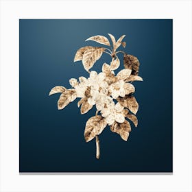 Gold Botanical Apple Blossom on Dusk Blue n.3951 Canvas Print