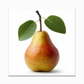 Pear With Leaf 1 Canvas Print