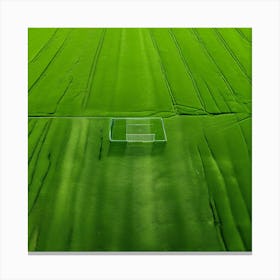 Plant Texture Green Nature Field Summer Crop Natural Environment Spring Grass Turf Folia (4) Canvas Print