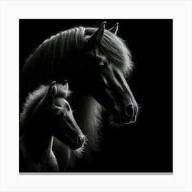 Black Horse And Foal 2 Canvas Print