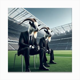 Goats In A Stadium Canvas Print