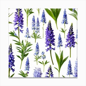 Nature Pattern Isolate White Arrangement Purple Flat Floral Blue Natural Herbal Medicine (9) Canvas Print