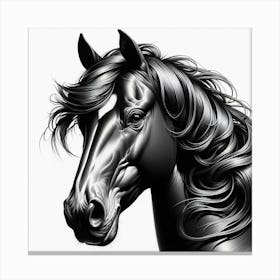 Black Horse Head Canvas Print