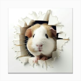 Guinea Pig 18 Canvas Print