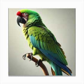 Parrot On A Branch 6 Canvas Print