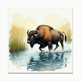 Bison In Water Canvas Print