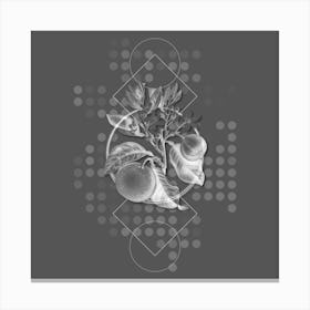 Vintage Bitter Orange Botanical with Line Motif and Dot Pattern in Ghost Gray n.0129 Canvas Print