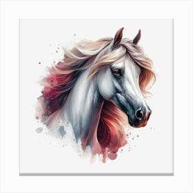 Horse Head.1 1 Canvas Print