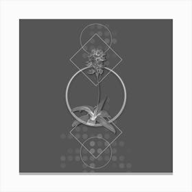 Vintage Sun Star Botanical with Line Motif and Dot Pattern in Ghost Gray n.0174 Canvas Print