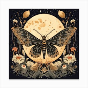 Moth On The Moon Canvas Print