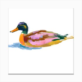 Duck 07 Canvas Print