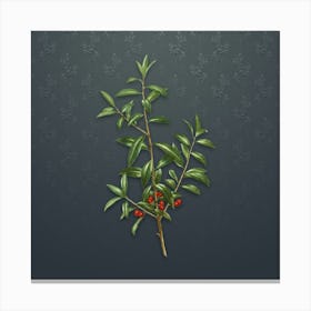 Vintage Alabama Dahoon Botanical on Slate Gray Pattern n.0282 Canvas Print