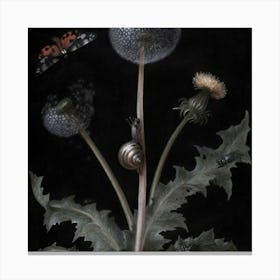 Dark (156) Canvas Print