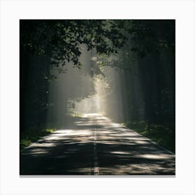 Road In The Woods Canvas Print