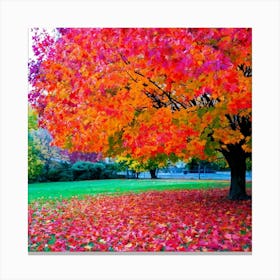 Anecdote Of An Autumnal Oak Tree Bathed In Brilliant Violet Hues In A Mid September Setting Leaves (2) Canvas Print