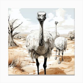 Ostriches In The Desert Canvas Print