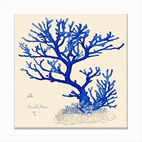 Blue Coral Print Canvas Print