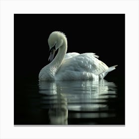 White Swan Canvas Print