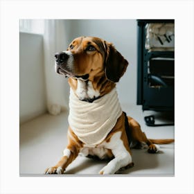 A Photo Of A Dog With A Bandage On Its Leg 5 Canvas Print