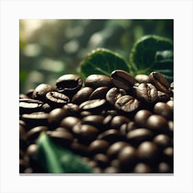 Coffee Beans 66 Canvas Print