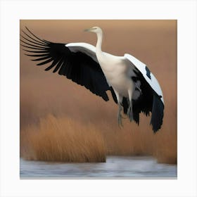 CHINESE WADING BIRD Canvas Print