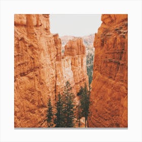 Bryce Canyon Trail Canvas Print