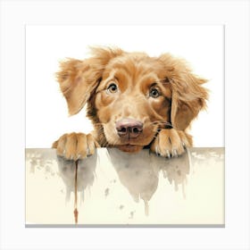 Golden Retriever 15 Canvas Print