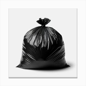 Black Garbage Bag 3 Canvas Print