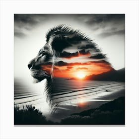 Lion and sunset coast 2 Canvas Print