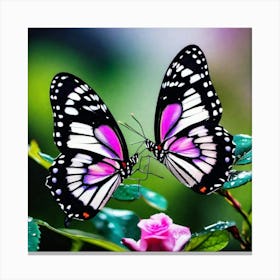 Butterflies On A Flower Canvas Print