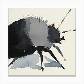 Beetle 3 Canvas Print