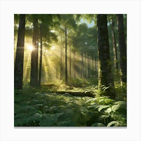 Ferns In The Forest Canvas Print