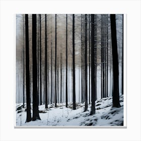 Winter Forest Canvas Print