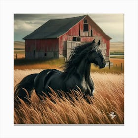 Beautiful Black Stallion In High Grass Copy Canvas Print