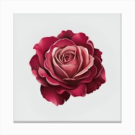 Red Rose 4 Canvas Print