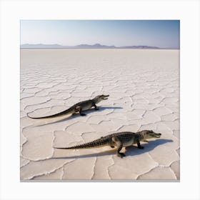 Desert Crocos Canvas Print