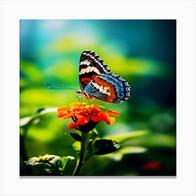 Butterfly On A Flower,Beautiful butterfly in nature Canvas Print