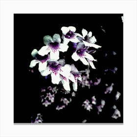 Purple Flowers Canvas Print