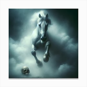 White Stallion Canvas Print