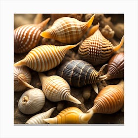 Shells On Sand Canvas Print