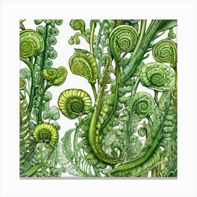 Ferns 6 Canvas Print