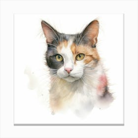 Oriental Bicolour Cat Portrait 1 Canvas Print