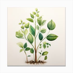 Tree With Leaves Canvas Print