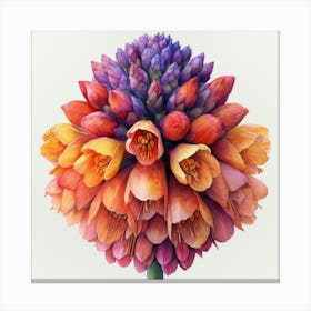 Hyacinth 8 Canvas Print