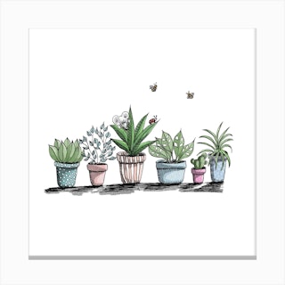Summer Plants Square Canvas Print