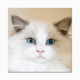 Blue Eyes Cat Canvas Print