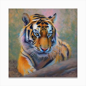 Tiger on the Prowl Canvas Print