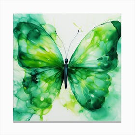 Butterfly 7 Canvas Print