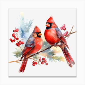 Cardinal Birds Canvas Print